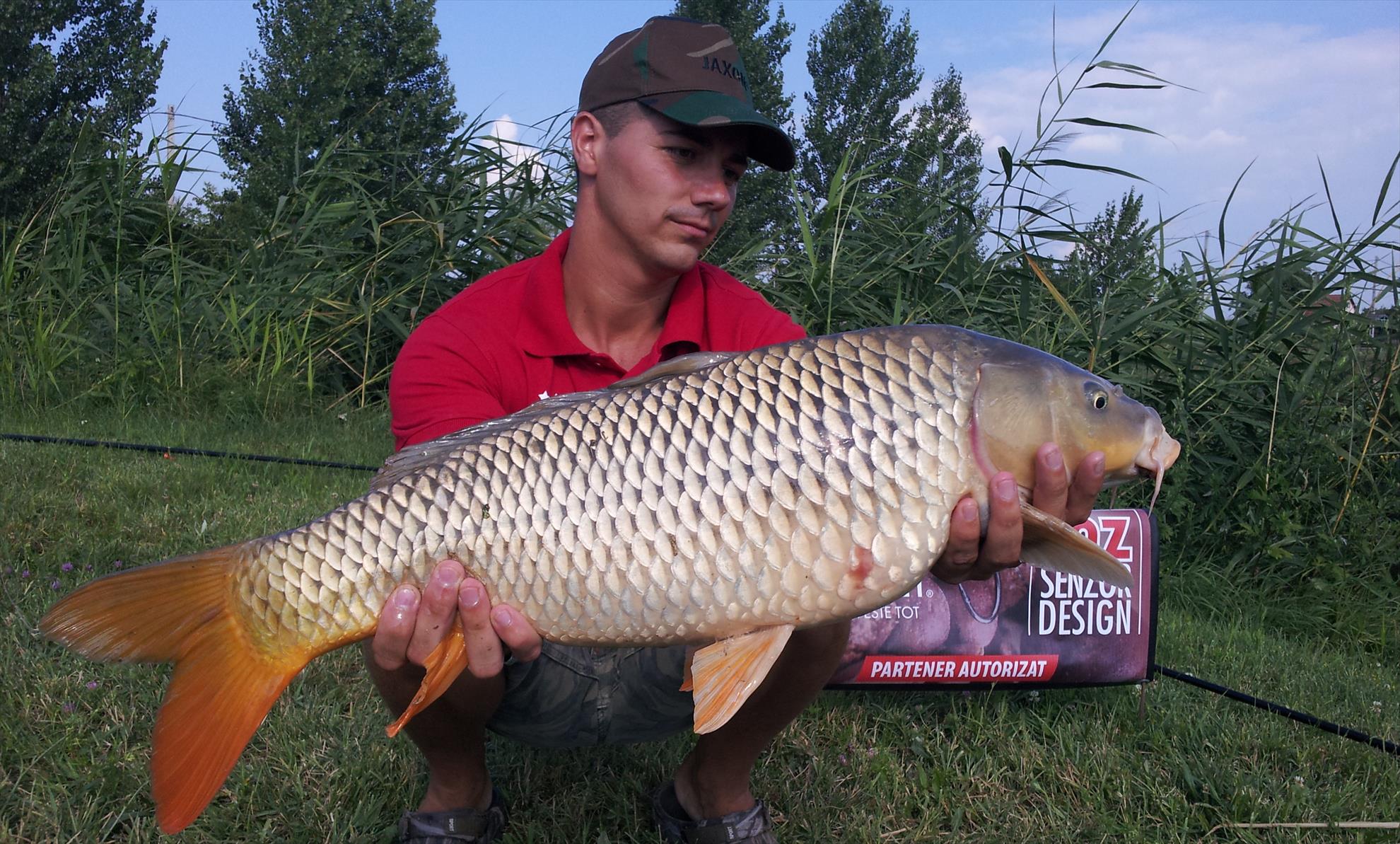 Silver  Ungaria 17 - 18 iul. - 20130717165329.jpg